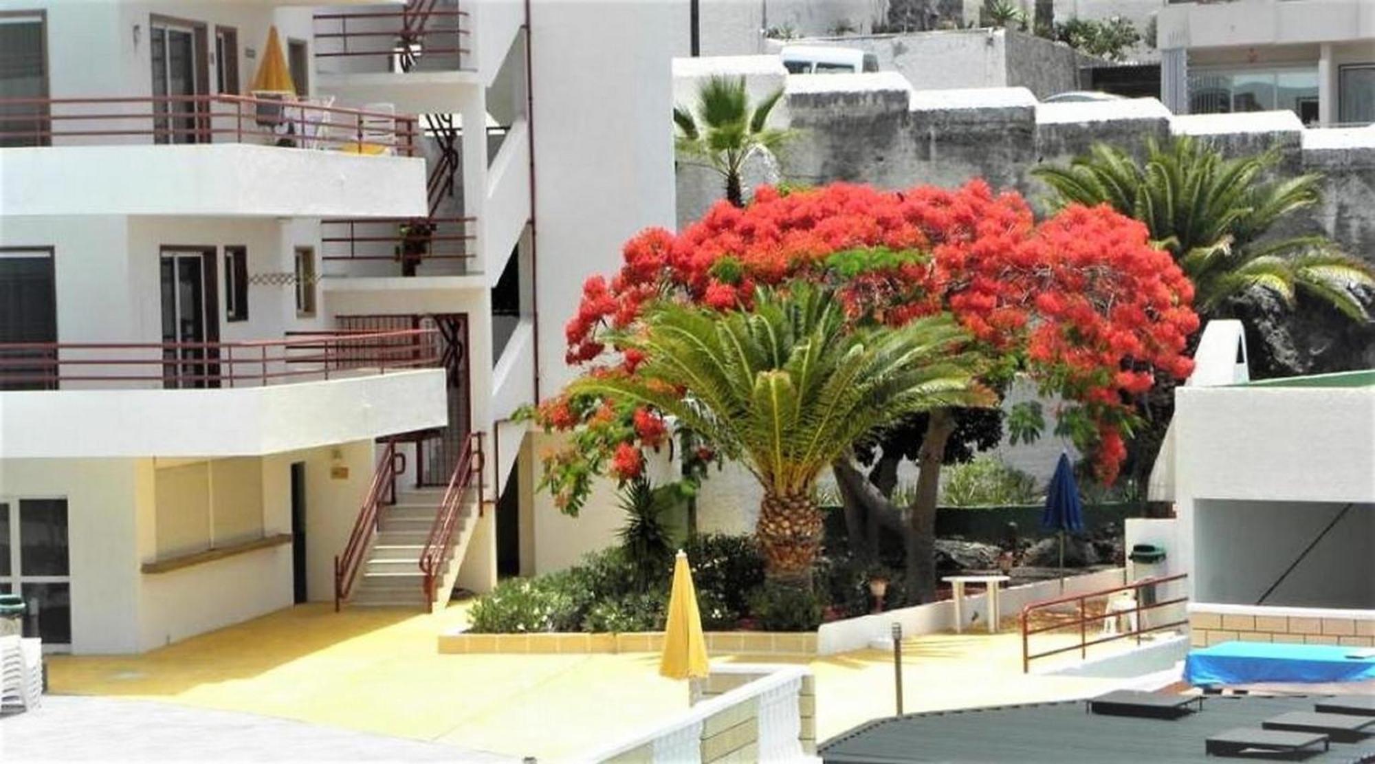 Apartamento Sol & Arena Puerto de Santiago  Eksteriør bilde